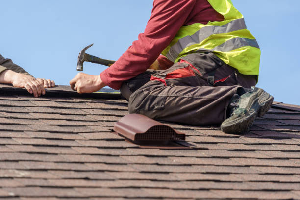 Best Storm Damage Roof Repair  in Holly Ridge, NC