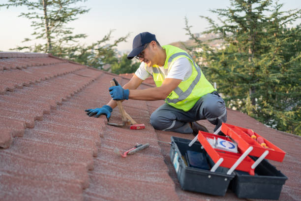 Roof Gutter Cleaning in Holly Ridge, NC